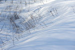 2012-03-10, Ярославская область. Снег и тени