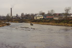2011-11-11, г. Остров, Псковская область. Осенняя навигация на реке Великая