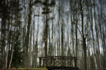 2012-11-07, Ярославская область. Отражение в пруду