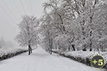 2013-02-04, г. Москва. Снегопад в Москве