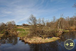 2013-05-07, Ярославская область. Весна в деревне - 2013